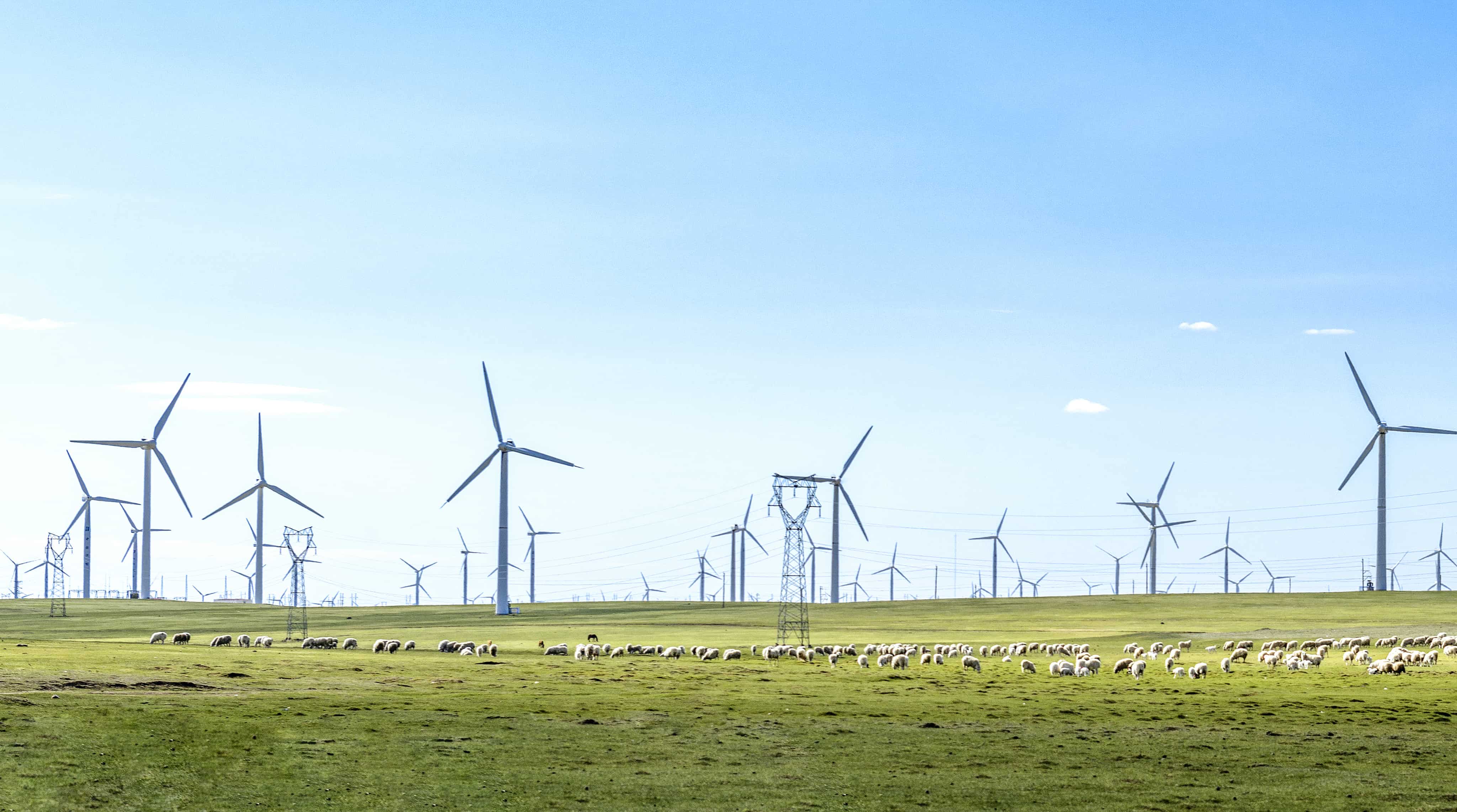 钱柜qg777(中国区)唯一官方网站